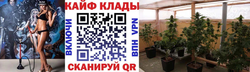 Как найти наркотики Мурманск КОКАИН APVP Каннабис