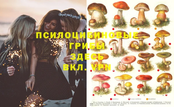 синтетический гашиш Белокуриха