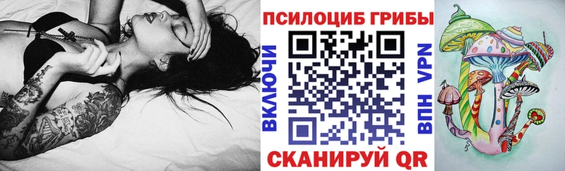 Псилоцибиновые грибы GOLDEN TEACHER  Мурманск 